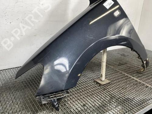 Right front fenders HYUNDAI SANTA FÉ II (CM) 2.2 CRDi | BP19960525C42