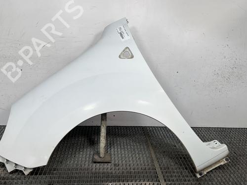 Forskærm venstre RENAULT KANGOO / GRAND KANGOO II (KW0/1_) 1.5 dCi 90 (KW05, KW08, KW0G, KW11) (90 hp) 27234705
