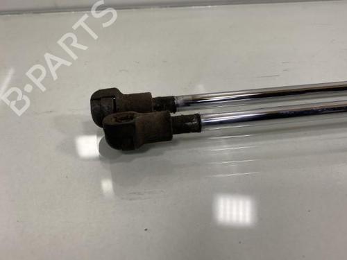 Used Tailgate lift support Tailgate lift support TOYOTA URBAN CRUISER (_P1_) 1.4 D-4D (NLP110_, NLP110R) (90 hp) 19959123 19959123