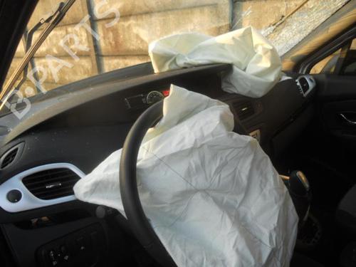 Front left interior door handle RENAULT SCÉNIC III (JZ0/1_) 1.5 dCi | BP20033167I13 