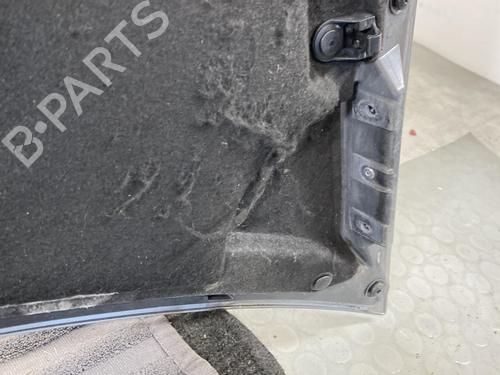 Hood SMART FORFOUR (454) 1.1 (454.030) | BP20185669C1 