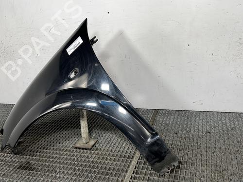 Left front fenders CITROËN C3 I (FC_, FN_) 1.4 HDi | BP28281348C41 