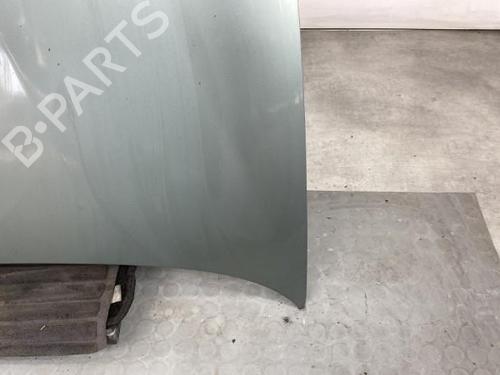 Used Hood SEAT IBIZA III (6L1) 1.9 TDI (100 hp) 20704154