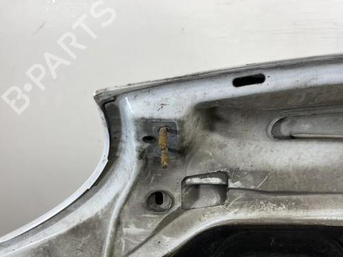 Hood RENAULT KANGOO Express (FC0/1_) D 65 1.9 (FC0E, FC02, FC0J, FC0N) | BP19958869C1 