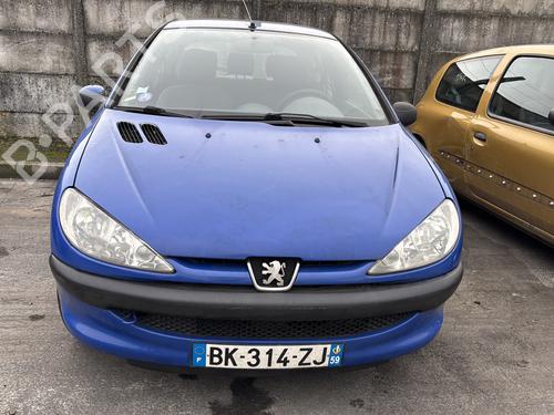 Tailgate PEUGEOT 206 Hatchback (2A/C) 1.1 i | BP25331937C6 