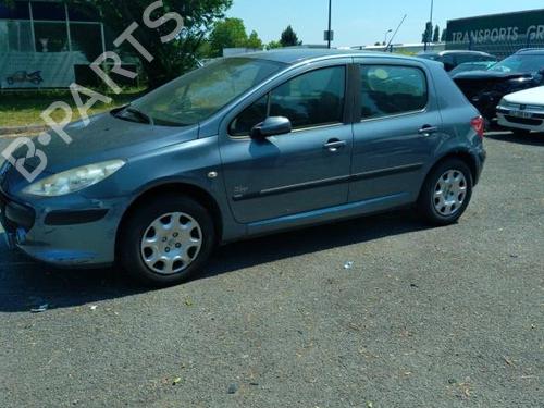 Front left lock PEUGEOT 307 (3A/C) 1.6 HDi | BP19954495C98 