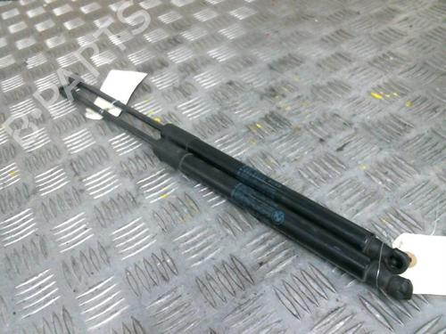 Used Tailgate lift support BMW 1 (F20) 116 d (116 hp) 20013453