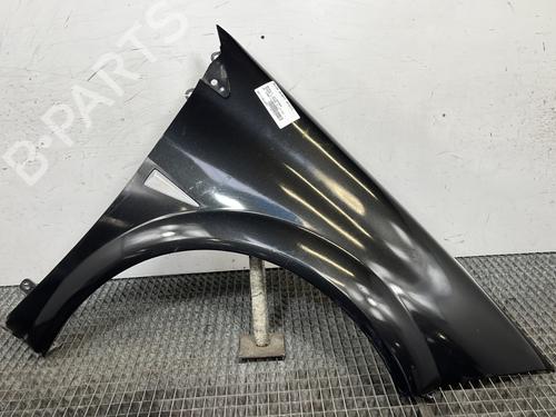 Used Right front fenders RENAULT MEGANE II (BM0/1_, CM0/1_) 1.5 dCi (BM1E, CM1E) (106 hp) 29508217