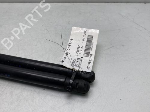 Tailgate lift support CITROËN DS5 1.6 HDi 115 | BP25813917C138 - Image 2