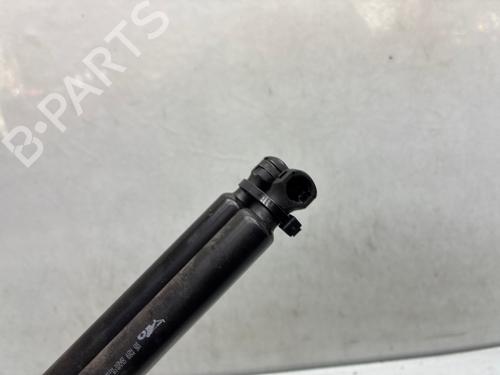 Used Tailgate lift support Tailgate lift support PEUGEOT 207 CC (WD_) 1.6 16V (120 hp) 36364005 36364005