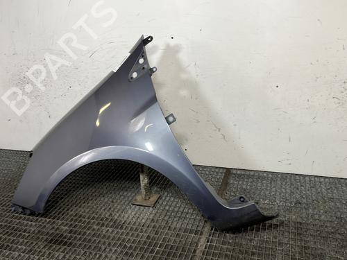 Left front fenders RENAULT CLIO III (BR0/1, CR0/1) 1.2 16V (BR02, BR0J, BR11, CR02, CR0J, CR11) | BP30698602C41