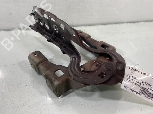 hingedoor-check-strap-citroen-c4-ii-nc_-2009-27722310 main image