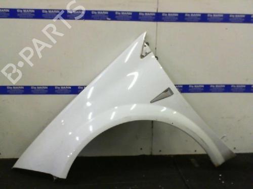 Used Left front fenders RENAULT MEGANE II (BM0/1_, CM0/1_) 1.5 dCi (BM1E, CM1E) (106 hp) 28035886