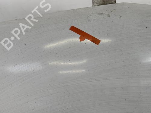 Hood RENAULT CLIO II (BB_, CB_) 1.5 dCi (B/C2J) | BP30171546C1