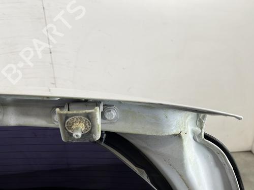 Tailgate RENAULT CLIO III (BR0/1, CR0/1) 1.5 dCi (C/BR0G, C/BR1G) | BP29995775C6 