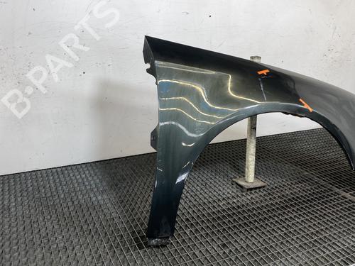 Right front fenders VW PASSAT B6 (3C2) 2.0 TDI 16V | BP21958656C42 