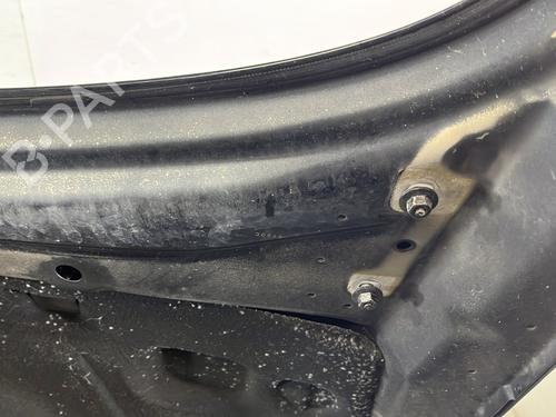 Hood OPEL INSIGNIA A (G09) 2.0 CDTI (68) | BP30674942C1 