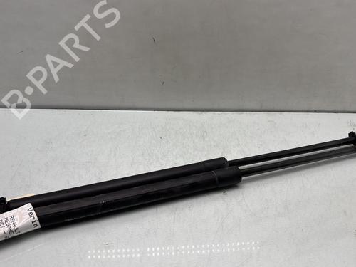 Tailgate lift support RENAULT MEGANE IV Hatchback (B9A/M/N_) 1.5 dCi 110 (B9A3) | BP29841742C138