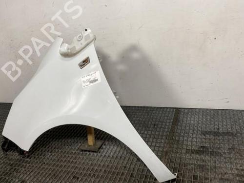 Left front fenders OPEL MERIVA B MPV (S10) 1.7 CDTI (75) | BP20721849C41 