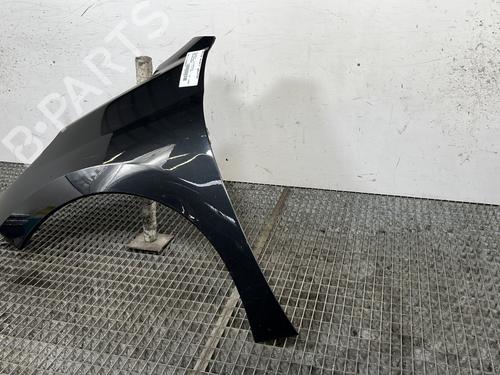 Left front fenders PEUGEOT 207 (WA_, WC_) 1.4 HDi | BP28475790C41