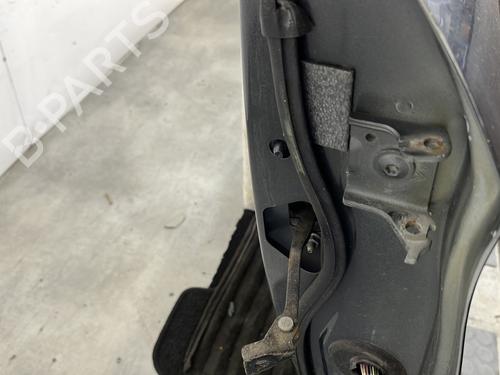 Left front door CITROËN C4 II (NC_) 1.6 HDi 110 | BP32368087C2