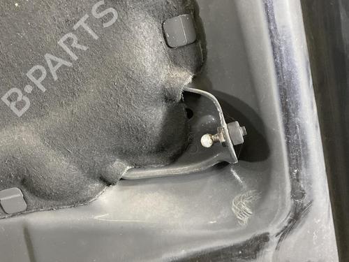 Motorhjelm VW TOUAREG (7LA, 7L6, 7L7) 2.5 R5 TDI | BP19962141C1 