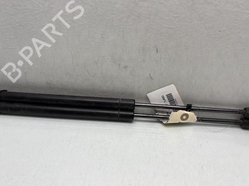 Tailgate lift support DODGE CALIBER 2.0 CRD | BP29841497C138 