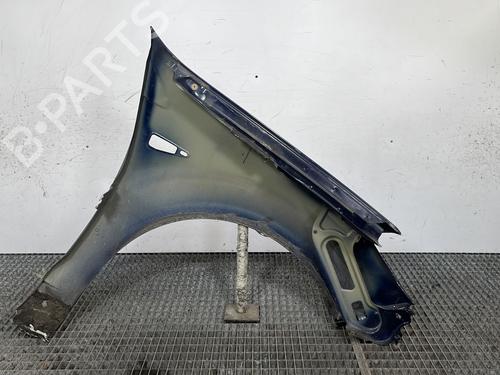Left front fenders DACIA SANDERO 1.4 (BS0C, BS0A, BS0G, BS1F, BS0E) | BP29141815C41 