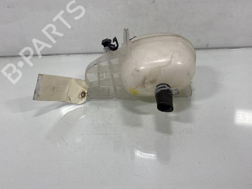 Used Expansion tank Expansion tank RENAULT TWINGO III (BCM_, BCA_) 1.0 SCe 65 (BCMJ) (65 hp) 20029906 20029906