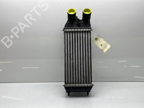 Intercooler CITROËN C3 AIRCROSS II (2R_, 2C_) 1.5 BlueHDi 110 | BP24214582M30  - Image 9