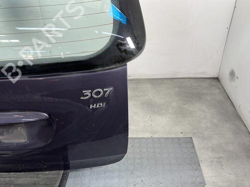 Tailgate PEUGEOT 307 Break (3E) 2.0 HDI 110 | BP28281695C6 