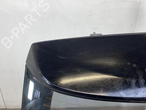 Tailgate RENAULT KOLEOS I (HY_) 2.0 dCi (HY0K) | BP19992101C6 
