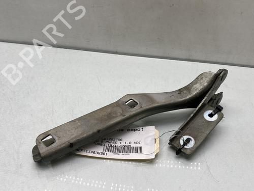 hingedoor-check-strap-citroen-berlingo-multispace-b9-2008-30791360 main image