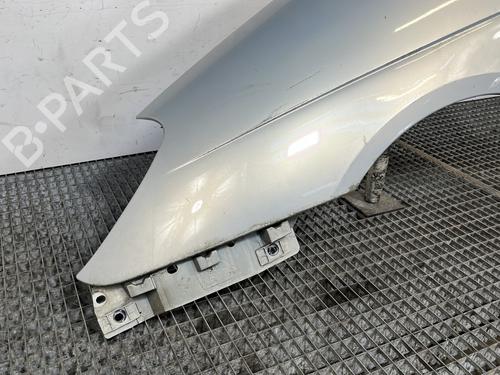 Left front fenders RENAULT SCÉNIC I MPV (JA0/1_, FA0_) 1.9 dTi (JA0N) | BP28210385C41 