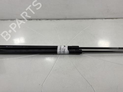 Used Tailgate lift support RENAULT GRAND SCÉNIC III (JZ0/1_) 1.5 dCi (JZ09, JZ0D, JZ10, JZ14, JZ1G, JZ29, JZ2C) (110 hp) 31212146