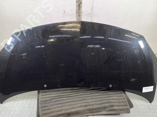 hood-renault-twingo-ii-cn0_-2007-32062941 main image