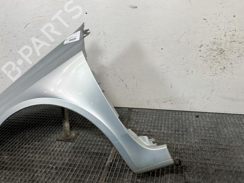 left-front-fenders-renault-laguna-ii-bg01_-2001-2002-2003-2004-2005-2006-2007-32063088 main image