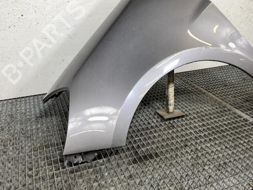 Left front fenders RENAULT CLIO III (BR0/1, CR0/1) 1.5 dCi (C/BR0G, C/BR1G) | BP30148397C41