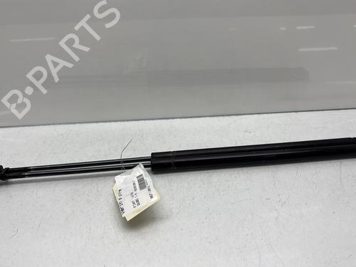 Used Tailgate lift support FIAT QUBO (225_) 1.4 (225AXA1A) (73 hp) 29897404