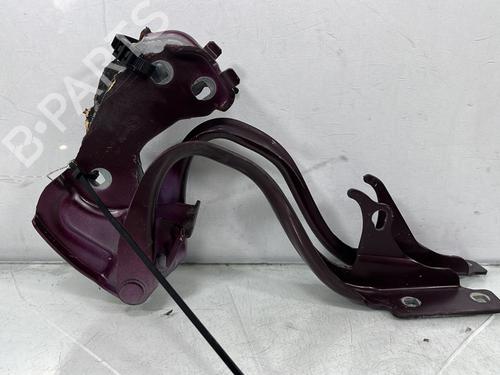 hingedoor-check-strap-fiat-500-312_-2007-34333104 main image