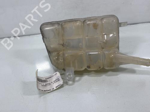 Ekspansjonstank Ekspansjonstank RENAULT MEGANE IV Hatchback (B9A/M/N_) [2015-2026] 20000109 20000109