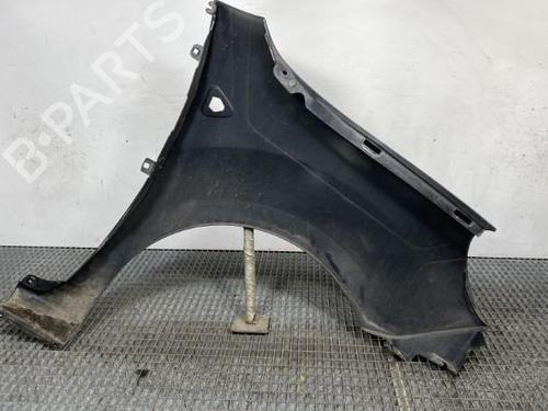 Left front fenders RENAULT KANGOO / GRAND KANGOO II (KW0/1_) 1.5 dCi 85 (KW0K, KW0L, KW0B) | BP23768407C41 
