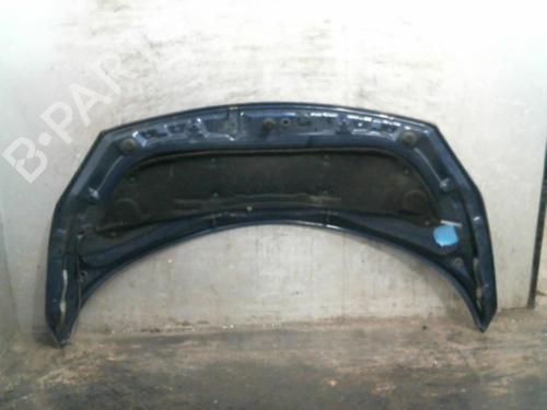 Used Hood RENAULT SCÉNIC II (JM0/1_) [2003-2010]  19982243