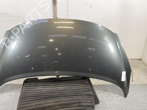 hood-peugeot-207-wa_-wc_-2006-2007-2008-2009-2010-2011-2012-2013-2014-2015-32062809 main image