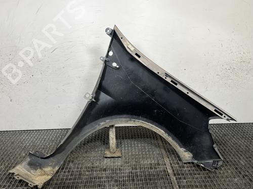 Left front fenders RENAULT CLIO III (BR0/1, CR0/1) 1.2 16V Hi-Flex (BR1U, CR1U) | BP29933225C41