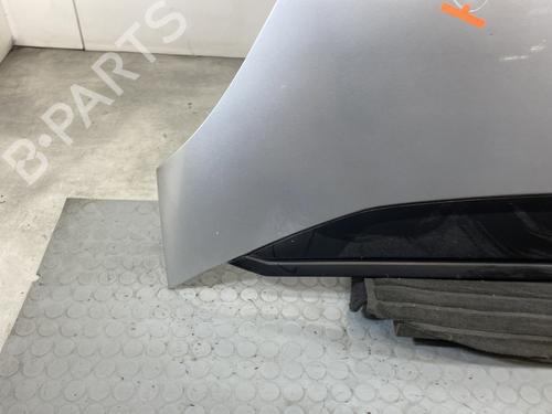 Hood CITROËN C4 Grand Picasso I (UA_) 1.6 HDi | BP21785071C1