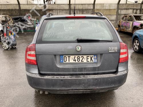 Right rear door SKODA OCTAVIA II Combi (1Z5) 1.9 TDI | BP29425584C5 