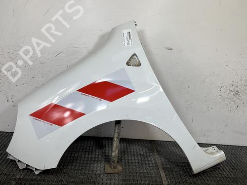 Guarda-lamas esquerdo RENAULT KANGOO / GRAND KANGOO II (KW0/1_) 1.5 dCi 90 (KW05, KW08, KW0G, KW11) (90 hp) 31669628