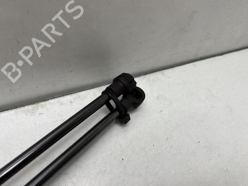 Tailgate lift support RENAULT LAGUNA III (BT0/1) 2.0 dCi (BT01, BT08, BT09, BT0E, BT0K, BT12, BT1C, BT1D,... | BP29286902C138 