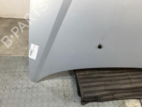 Hood RENAULT SCÉNIC I MPV (JA0/1_, FA0_) 1.9 dTi (JA0N) | BP28210386C1 
